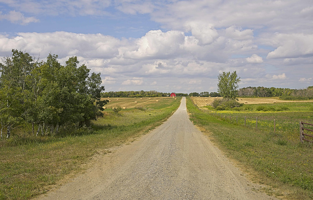 toward the red barn