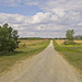 toward the red barn