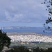 Sitia