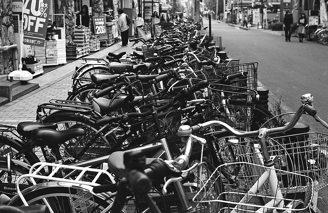 Flock of bicycles