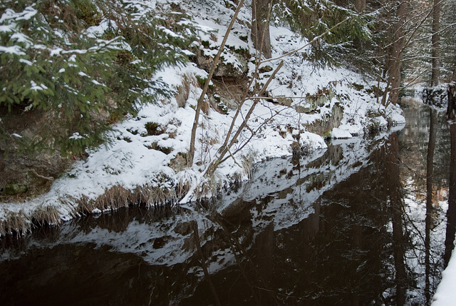 Spiegelung im Wasser