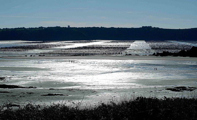 vue sur Saint-Jacut-de-la-Mer