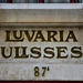 Lisbon 2018 – Luvaria Ulisses glove shop