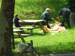 Pasture Hairdresser