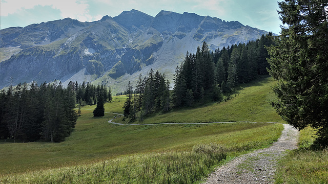 Sörenberg LU / 29.08.22 / Brienzer Rothorn