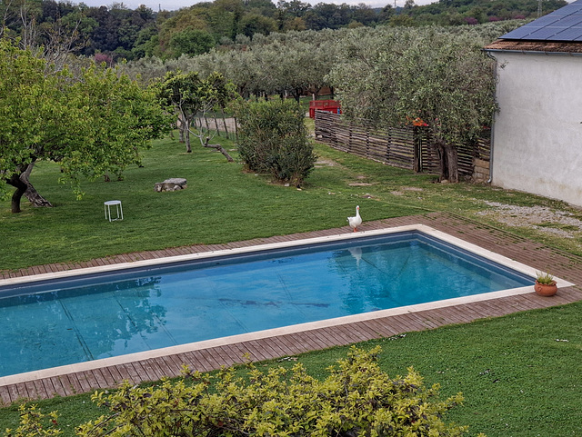 rafraîchissement du matin