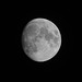 The moon