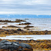 Barents Sea