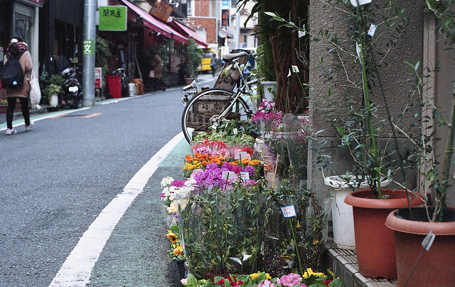 Flower shop