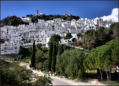 Casares
