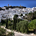 Casares