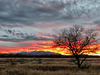 The Santa Rita Mountains