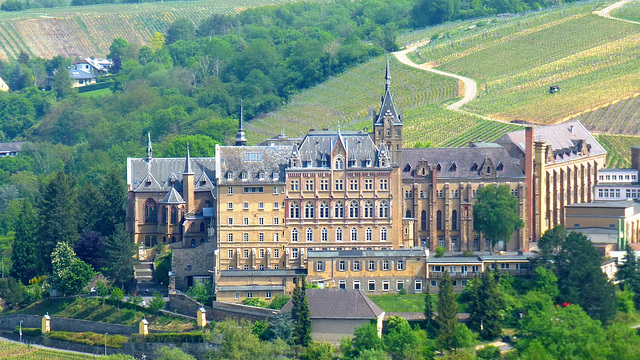 Kloster Kalvarienberg