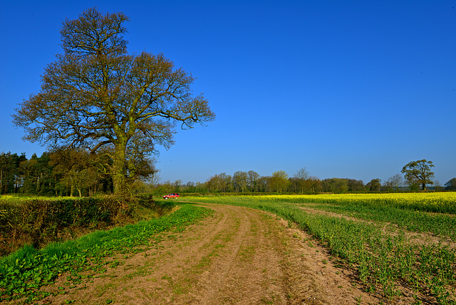 Fields near Wheaton Aston