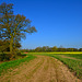 Fields near Wheaton Aston