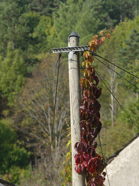 20181018 La Fage (Mt Lozère) et retour (145) al