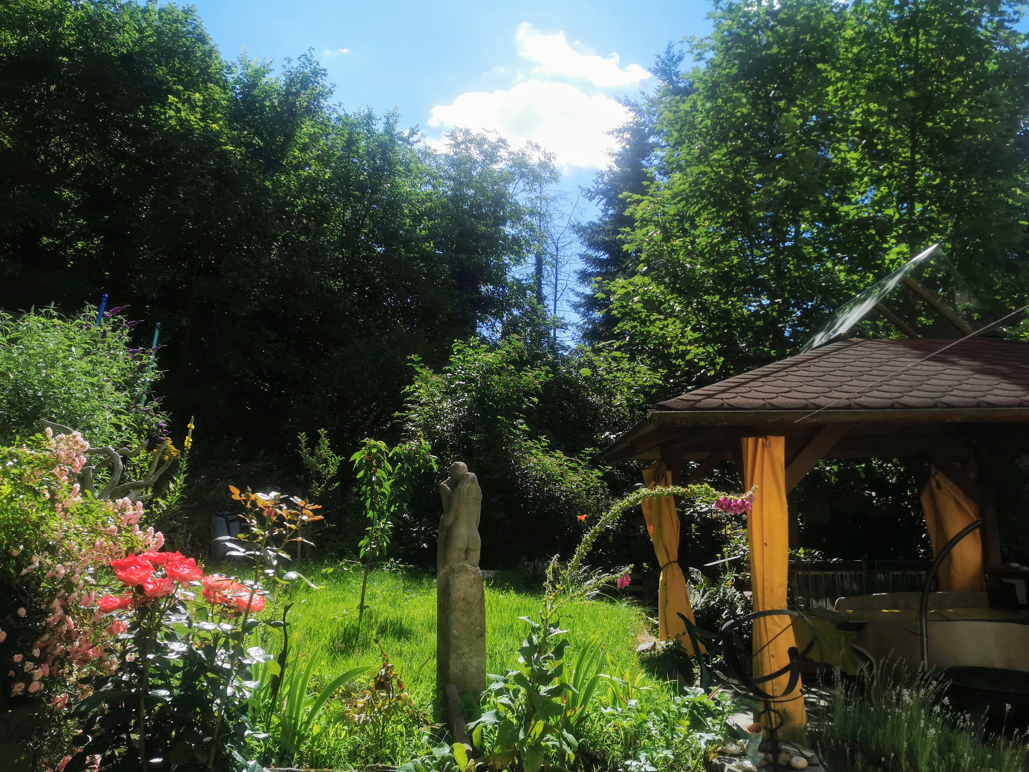 Sommermorgen in meinem Garten