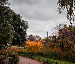 Regents Park (1)