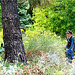 Dis, l'arbre : raconte toi, raconte moi......