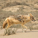 Namibia-0335