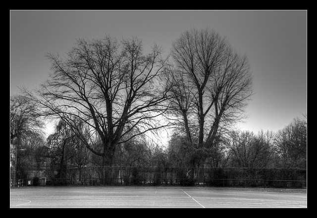 IMG 1847 a tonemapped tonemapped sw mit Rand