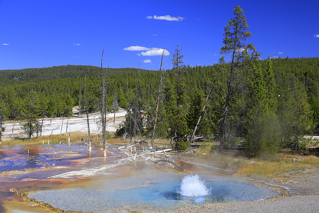 Firehole Spring