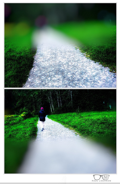 Le chemin à parcourir