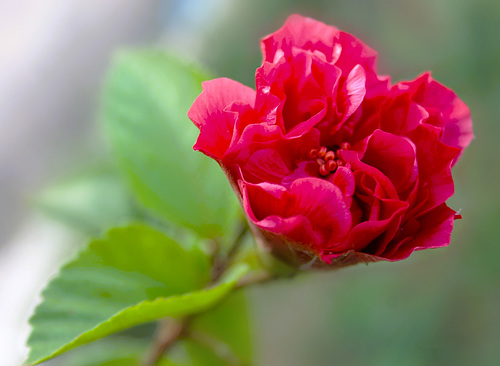 Bon weekend  Heureux.