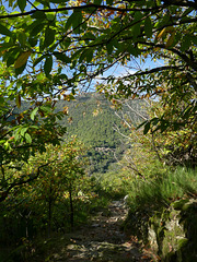 20241013 Rando Col de Bes (Cévennes) (45)