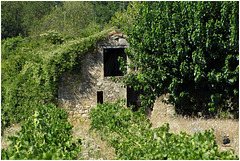 Le Cabanon des Vignes