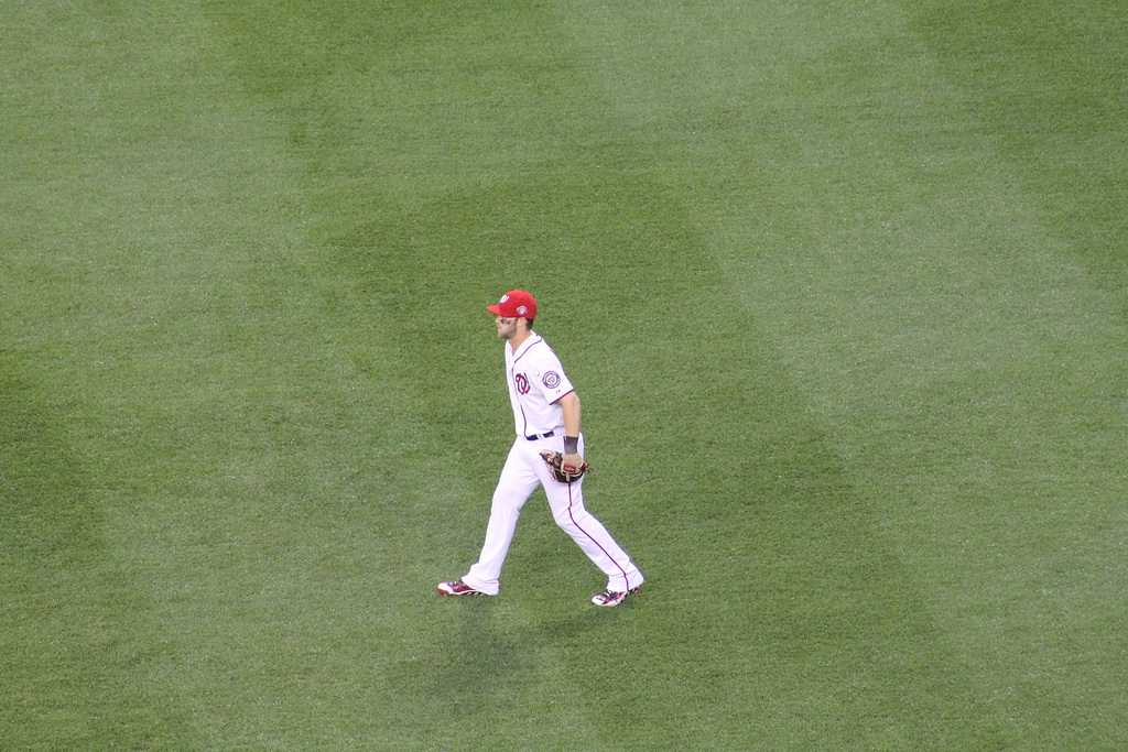 Bryce Harper