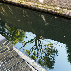 Reflection Reflection