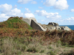 wg (1435)