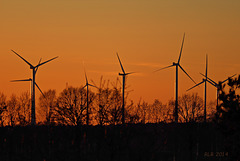 Windpark Hoort