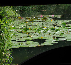 View through the boat-house