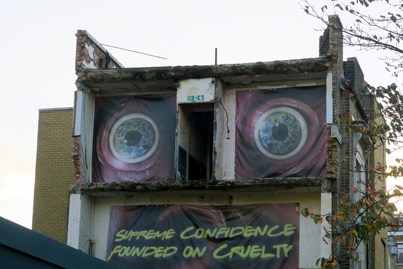 IMG 9785-001-Watching Eyes