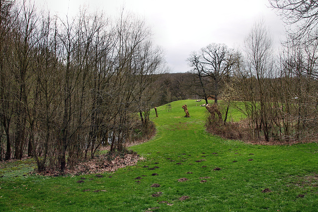 Wiese mit Teich am Paasbach (Sprockhövel-Bossel) / 29.03.2023