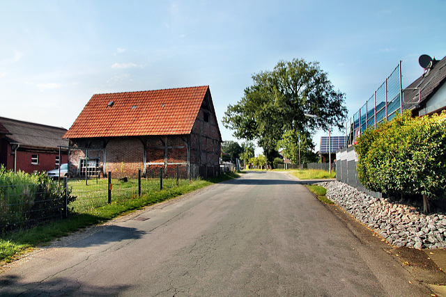 Brinker Straße (Dorsten-Lembeck) / 20.07.2024