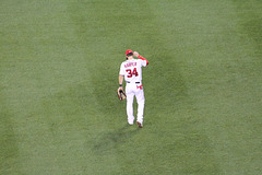 Bryce Harper