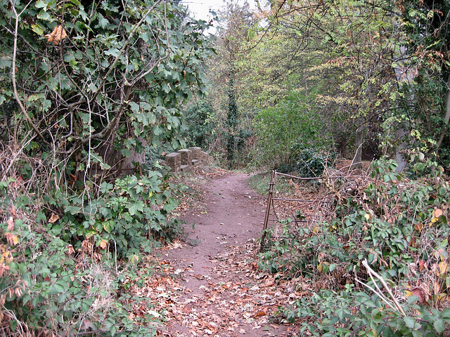 Pathway over ornate bridge on The Hill at Himley Estate