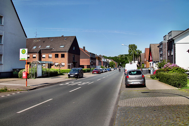 Lindhorststraße (Bottrop-Fuhlenbrock) / 11.05.2024