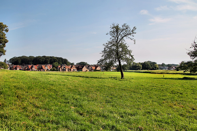 Bockwiese in Lembeck (Dorsten) / 20.07.2024