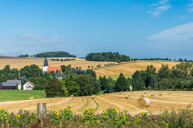 Blick auf Frankenstein