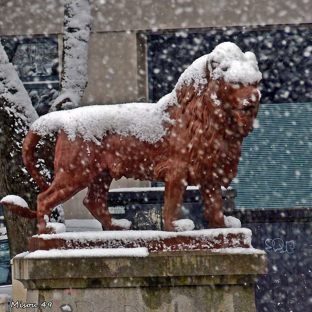 Neige à Angers