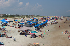 Tybee Island ~~ Savannah, Georgia ~~  USA