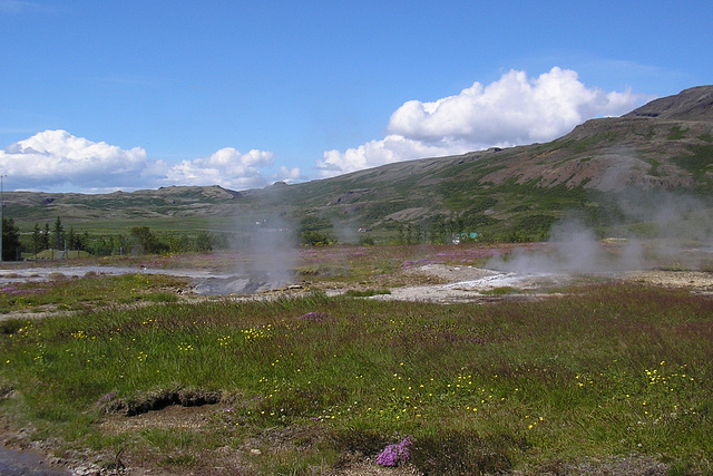 Geysir Geothermal Area