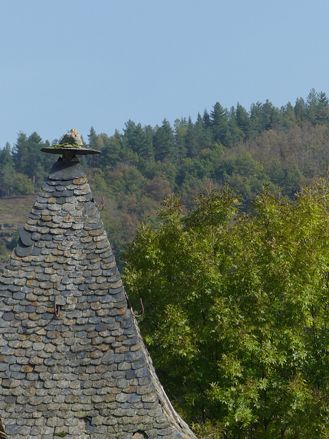 20181018 La Fage (Mt Lozère) et retour (155) al