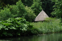 The Water Garden, Arundel Castle Gardens