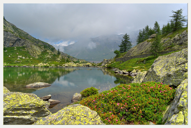 Lago Roterel e rododendri