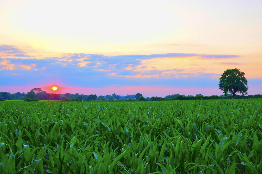 Sunset on the hottest day of 2020 (so far)